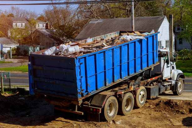 Yard Cleanup Services in Coal Creek, CO