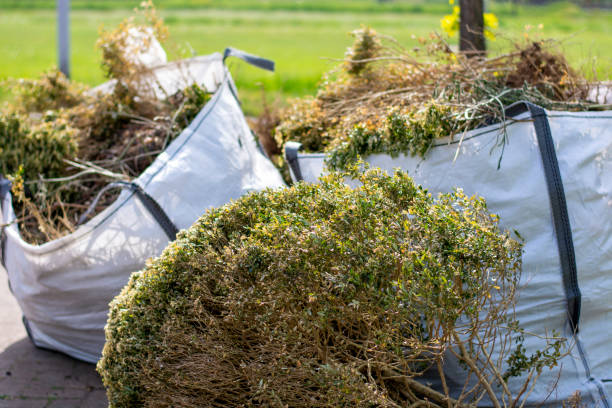 Basement Cleanout Services in Coal Creek, CO